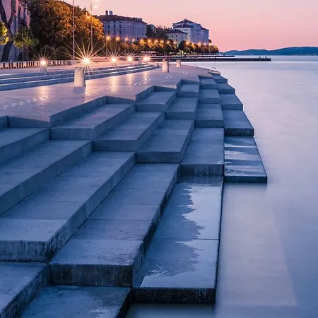 Ruzmarin - New Zadar